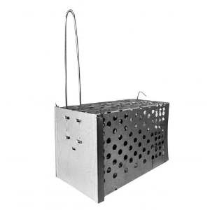 RATOEIRA GAIOLA C/MOLA PQ